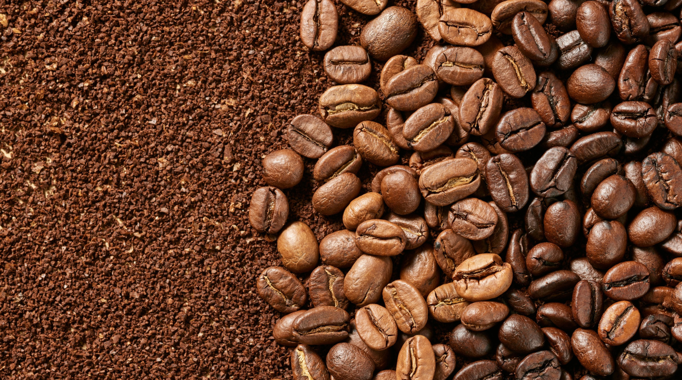 Whole Bean vs Ground Coffee: Which Is Right for You?